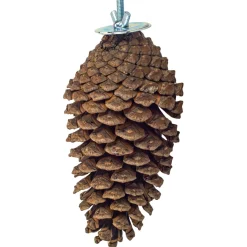 Back Zoo Nature Foraging Pine Cone - Vogelspeelgoed - per stuk