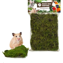 Back Zoo Nature Forest Moss - Natuurlijk Speelgoed - Ca. 70 G