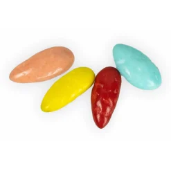 Back Zoo Nature Sunflower Seeds Treat - Vogelsnack - 100 g