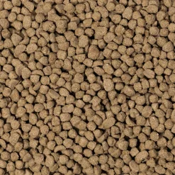 Beaphar Care Plus Konijn Junior - Konijnenvoer