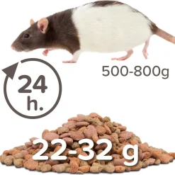 Beaphar Care Plus Rat - Rattenvoer