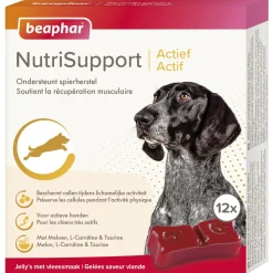 Beaphar Nutrisupport Actief - Voedingssupplement - Spieren - 12 stuks