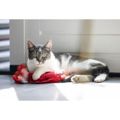 Beeztees Bewegende Kreeft - Kattenspeelgoed - Rood