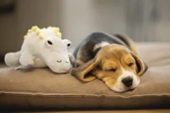 Beeztees Dinosaurus Vince - Hondenspeelgoed - 19 cm Groen