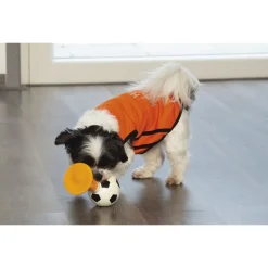 Beeztees Holland Toeter - Hondenspeelgoed - 20 cm Oranje