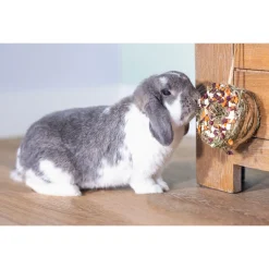 Beeztees Hooi Donut - Knaagdiersnack - Rode Biet Wortel Pastinaak 10x5 cm 65 g