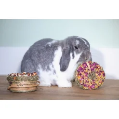 Beeztees Hooi Donut - Knaagdiersnack - Rozenbloesem Goudsbloem 10x5 cm 65 g