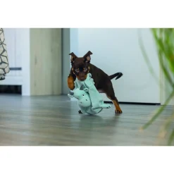 Beeztees Knuffeldoek - Hondenspeelgoed - Groen