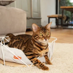 Beeztees Metalen Kattenmand Kipu Wit - Kattenmand