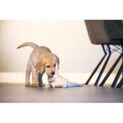 Beeztees Puppy Eenhoorn - Hondenspeelgoed - Wit