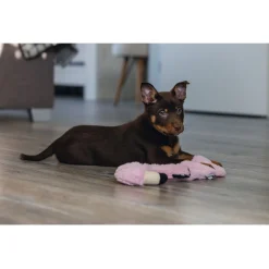 Beeztees Puppy Flamingo - Hondenspeelgoed - Pink
