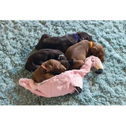 Beeztees Puppy Flamingo - Hondenspeelgoed - Pink