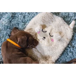 Beeztees Puppy Geurlap Sjiepo - Hondenspeelgoed - 40x22x5 cm Wit