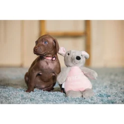 Beeztees Puppy Kangoeroe Ravi - Hondenspeelgoed - 31x16x16 cm 88 g Grijs