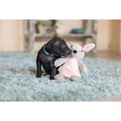 Beeztees Puppy Kangoeroe Ravi - Hondenspeelgoed - 31x16x16 cm 88 g Grijs