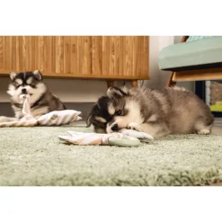 Beeztees Puppy Kauwring - Hondenspeelgoed - 22x8.5x2 cm Groen Pink Wit