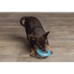 Beeztees Puppy Koel Bijtring - Hondenspeelgoed - Ø10 cm Groen