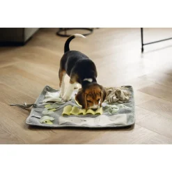 Beeztees Puppy Snuffelmat Doeka - Hondenspeelgoed - 50x45x2 cm Multi-Color
