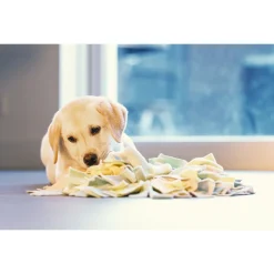 Beeztees Puppy Snuffelmat Sniffy - Hondenspeelgoed - 22x22x4 cm Assorti Geel Groen