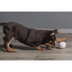 Beeztees Speelbal Puppy - Hondenspeelgoed - Ø6 cm 52 g Pink