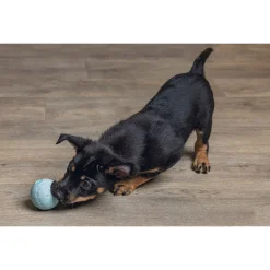 Beeztees Speelbal Puppy - Hondenspeelgoed - Ø6 cm 52 g Groen