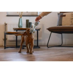 Beeztees Speeltouw 2 Knopen - Hondenspeelgoed - Blauw