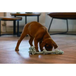 Beeztees Speeltouw 3 Knopen - Hondenspeelgoed - Blauw