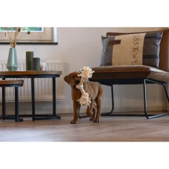 Beeztees Speeltouw 2 Knopen - Hondenspeelgoed - Beige