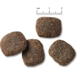 Belcando Adult Grainfree - Hondenvoer - Zalm 12.5 kg