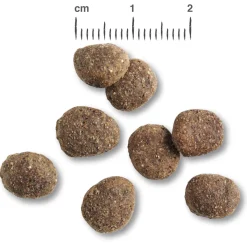 Belcando Finest Grainfree Senior - Hondenvoer - 12.5 kg