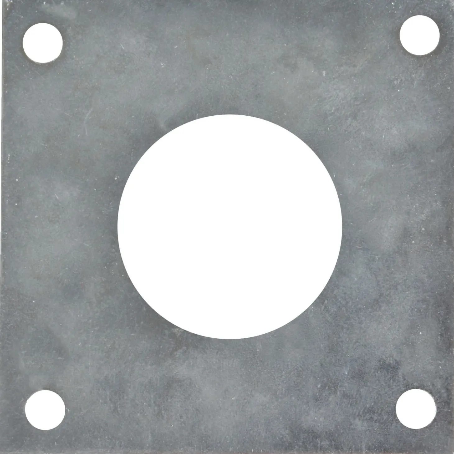 Best For Birds Beschermplaat Koolmees - Broeden - Zilver