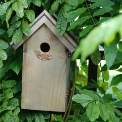 Best For Birds Nestkast Pimpelmees Bitumen Dak - Broeden - 11.9x16.8x27.4 cm