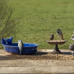 Best For Birds Vogelbad Keramiek - Buitenvogel - Assorti