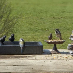 Best For Birds Vogelbad Terrazzo Vierkant - Drinkbak - 32x32x12 cm