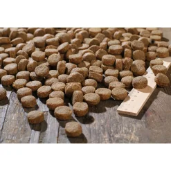 Bewi Dog Basic - Hondenvoer - 12.5 kg