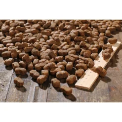 Bewi Dog Junior - Hondenvoer - 12.5 kg