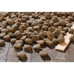 Bewi Dog Sport - Hondenvoer - 12.5 kg