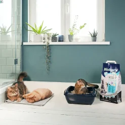 Biokat's Diamond Care Multicat - Kattenbakvulling - 8 l