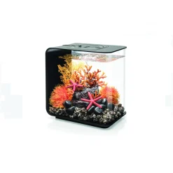 Biorb Aquarium Flow 15 Mcr - Aquaria - 15 l Zwart