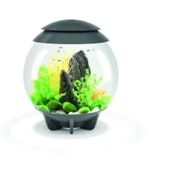 Biorb Aquarium Halo 30 Mcr - Aquaria - 30 l Grijs