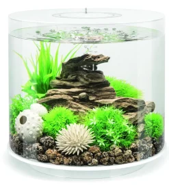 Biorb Aquarium Tube 15 Mcr - Aquaria - 15 l Wit