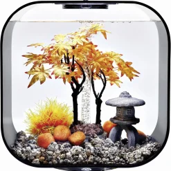 Biorb Decor Set Herfst - Aquarium - Ornament - Oranje Oker Lichtbruin