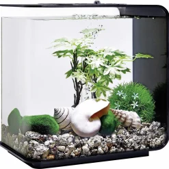 Biorb Decor Set Zomer - Aquarium - Ornament - Groen Lichtroze Beige