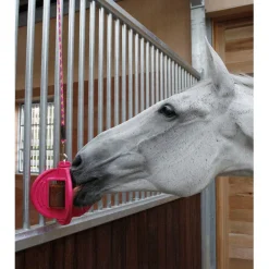 Bizzy Lick Bizzy Bal - Liksteenhouder - Paardenspeelgoed -