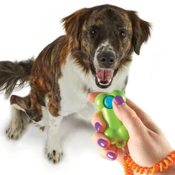 Brightkins Clicker Bone - Hondenopvoeding - Groen Oranje