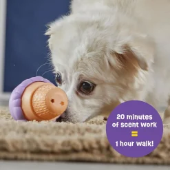 Brightkins Small Ice Cream Treat Dispenser - Hondenspeelgoed -