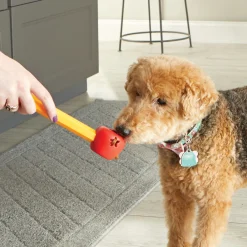 Brightkins Training Set Pooch School - Hondenopvoeding - Paars Rood