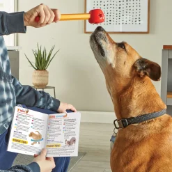 Brightkins Training Set Pooch School - Hondenopvoeding - Paars Rood