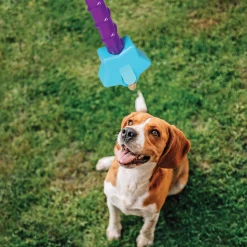 Brightkins Voerspeeltje Toverstok Star - Hondenspeelgoed - Paars Blauw
