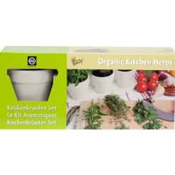 Buzzy Bio Keukenkruiden Set Wit - Kweeksets - 3 stuks